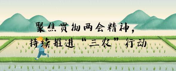 聚焦貫徹兩會(huì)精神，持續(xù)推進(jìn)“三農(nóng)”行動(dòng)